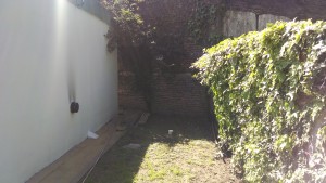 jardin nightingale. 641