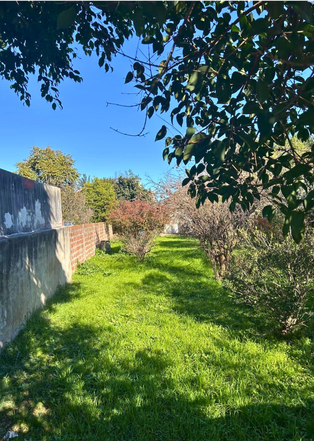 LOTE EN PARQUE JOHNSTON - Imagen 2