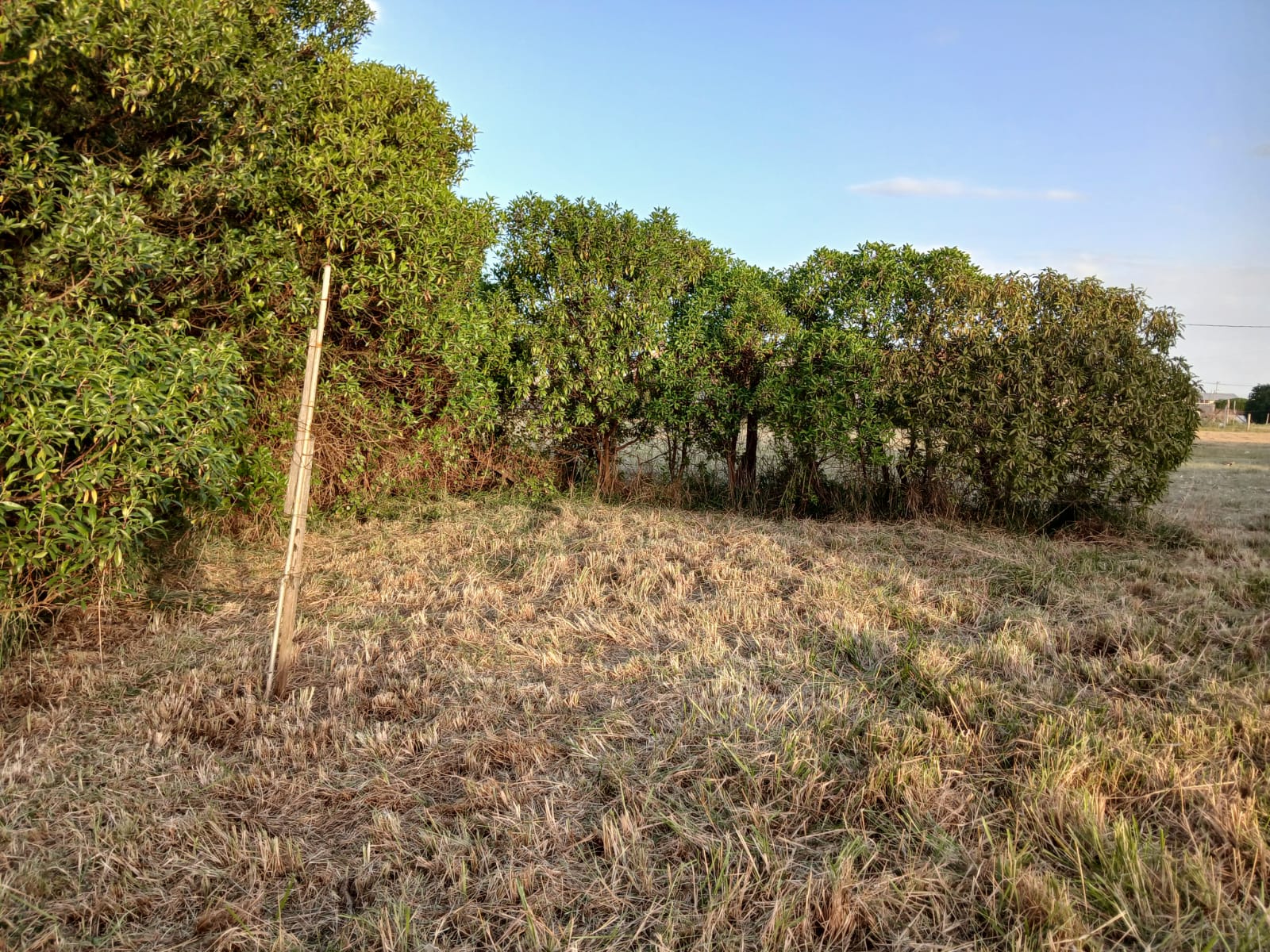 LOTE CON CONSTRUCCION A TERMINAR EN ATLANTIDA - Imagen 5